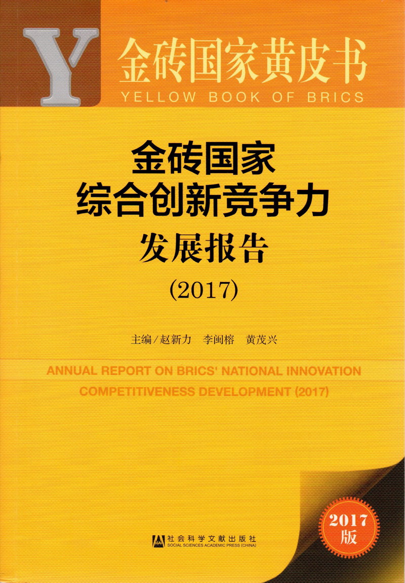 黄色xxx日本操逼金砖国家综合创新竞争力发展报告（2017）